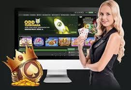 9zz bet
