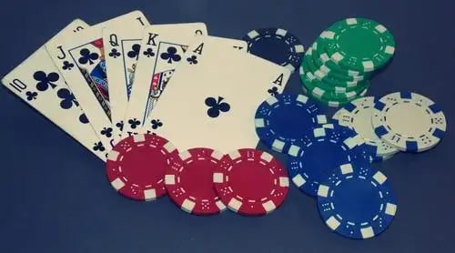 9zz bet